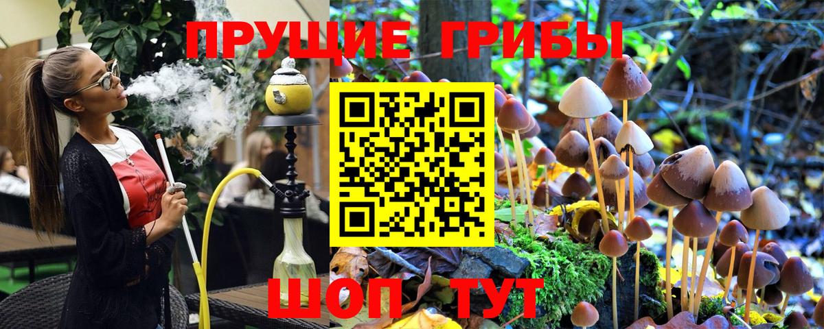 Псилоцибиновые грибы Cubensis  Вход с VPN  Кушва 